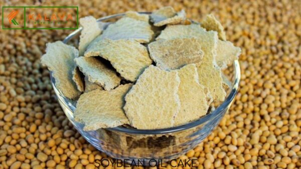 🌿SOYBEAN OIL CAKE