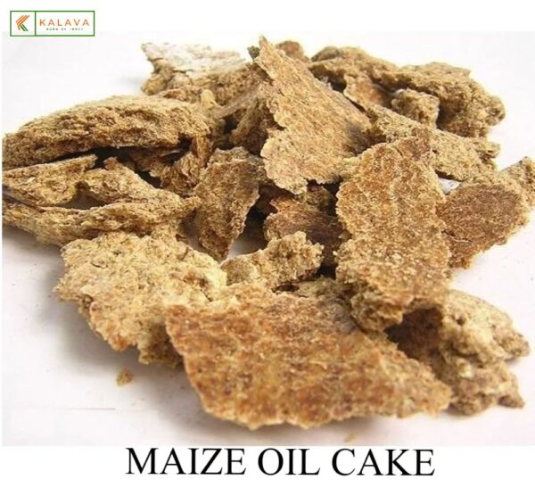 MAIZE OIL CAKE