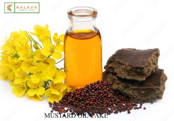 MUSTARD OIL CAKE