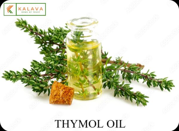 THYMOL OIL