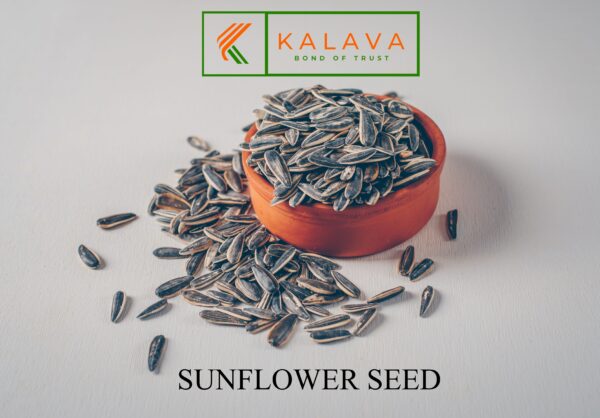 🌻 SUNFLOWER SEEDS